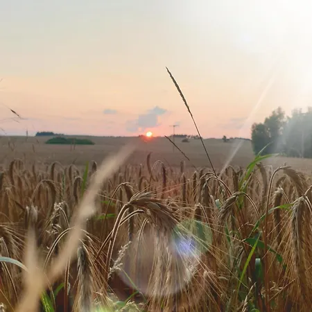 Дом отдыха 1eickhof Warnow (Rostock)