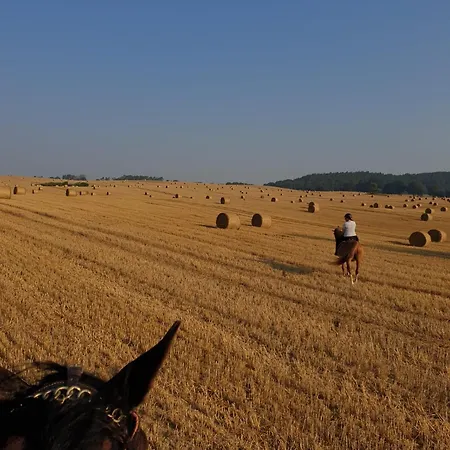 1eickhof Дом отдыха